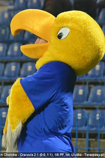 2011-11-09-pp-ruch-cracovia_u_0701