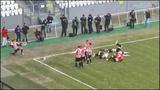 bramki-tn-2014